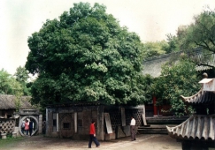 广州到汉中物流专线,广州到汉中货运公司